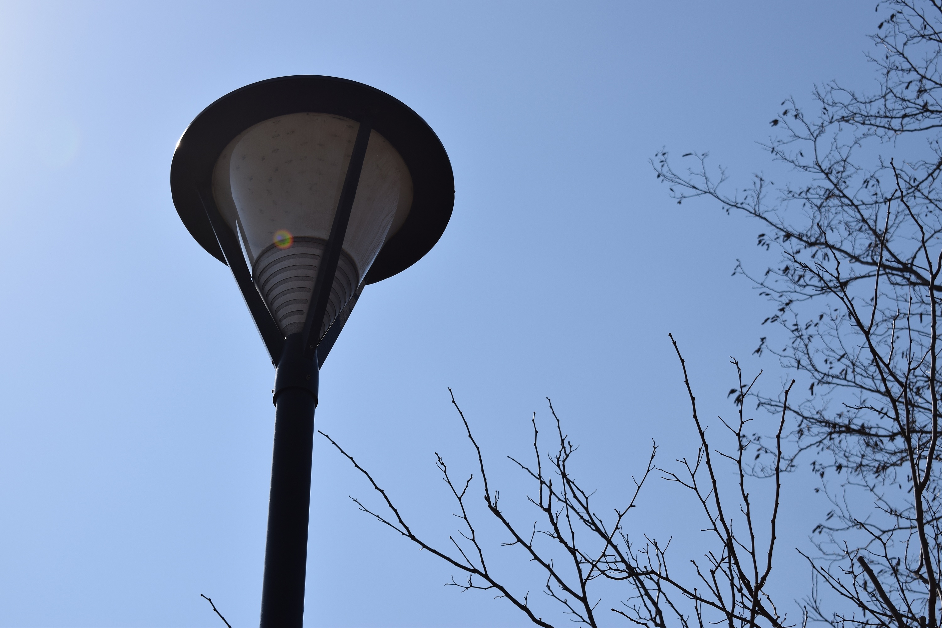 校园的路灯下|摄影|其他摄影|lzr用户 - 原创作品 - 站酷 (zcool)