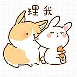 杨小雨Y的头像