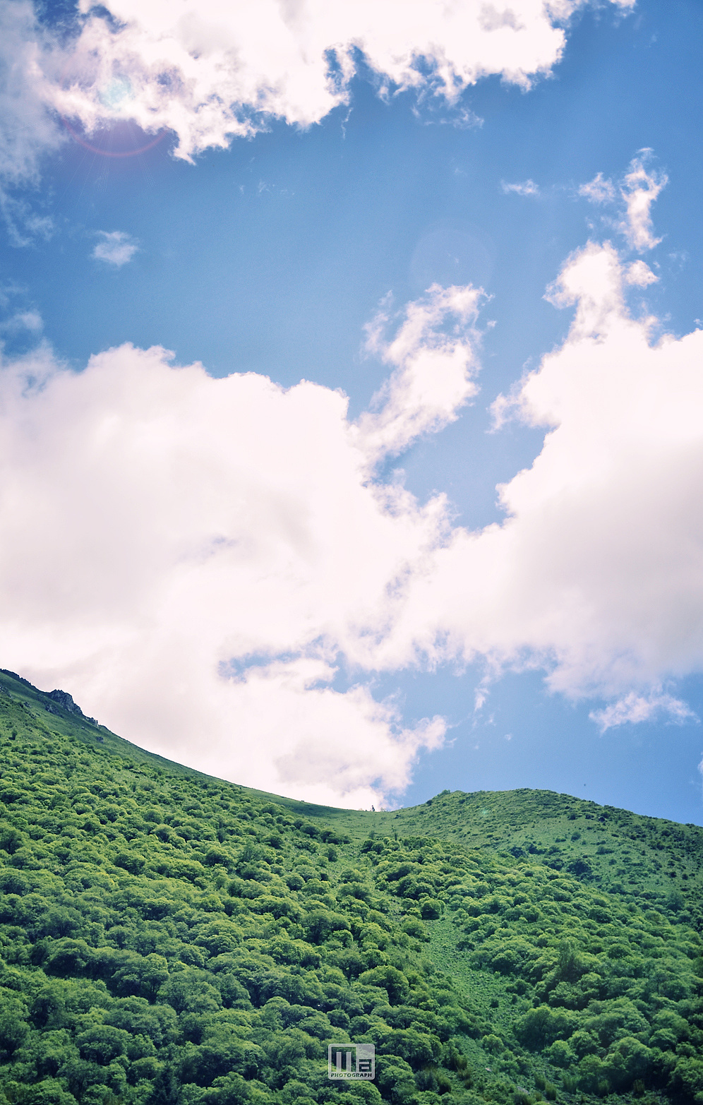 王朗原始森林的蓝天