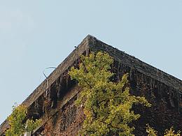 总要去趟南京，看看南京的秋天吧