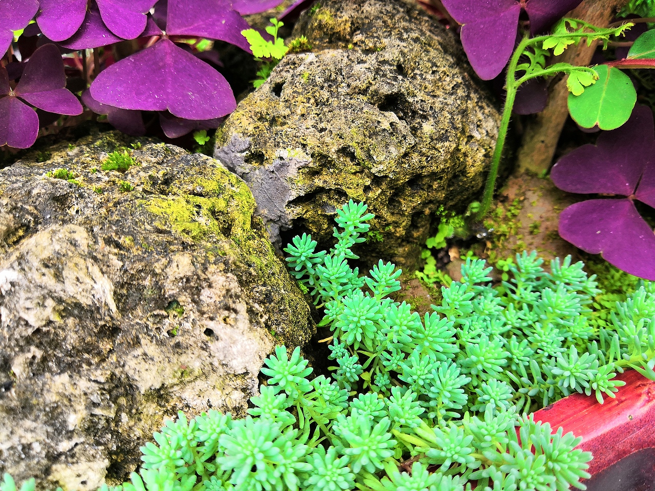 余荫山房 同游（图ZMTYyMzQzODc2） - 人文/纪实摄影 - 站酷设计师个银两岁星原创素材 - 站酷ZCOOL