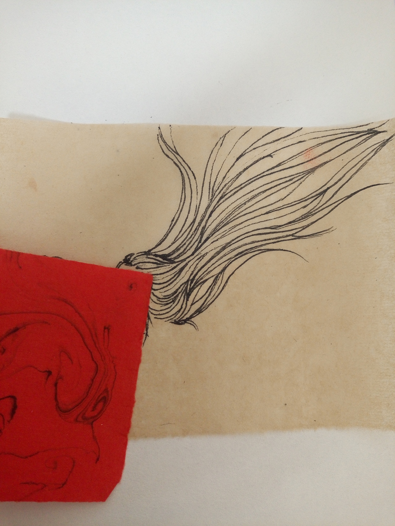 这是个看脸的世界。（图ZNjM2NjE1MzY=） - 创作习作 - 站酷设计师洁宝DJDJ原创素材 - 站酷ZCOOL