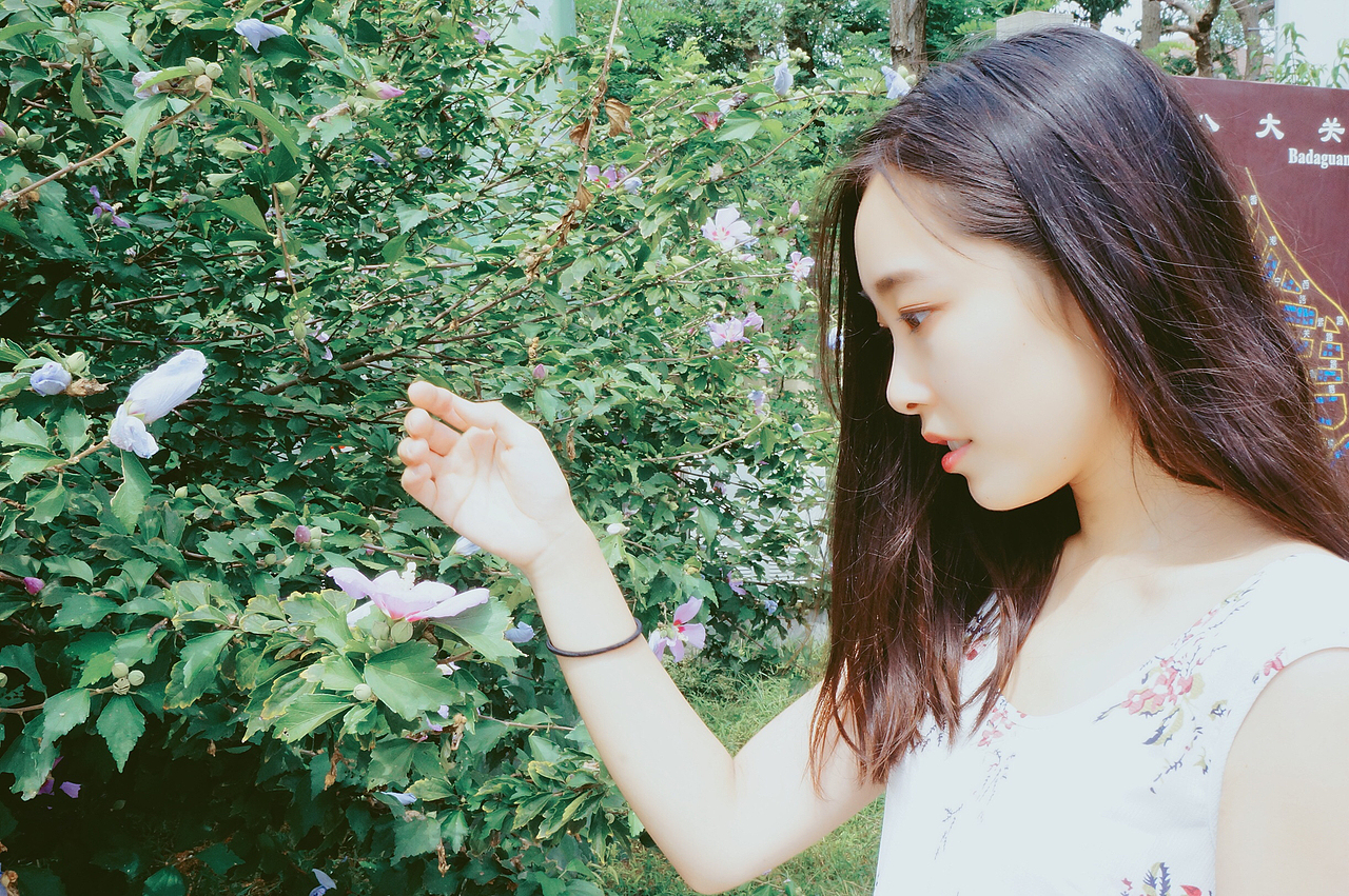 翅儿-八大关（2）