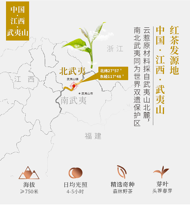 高山野茶来一波