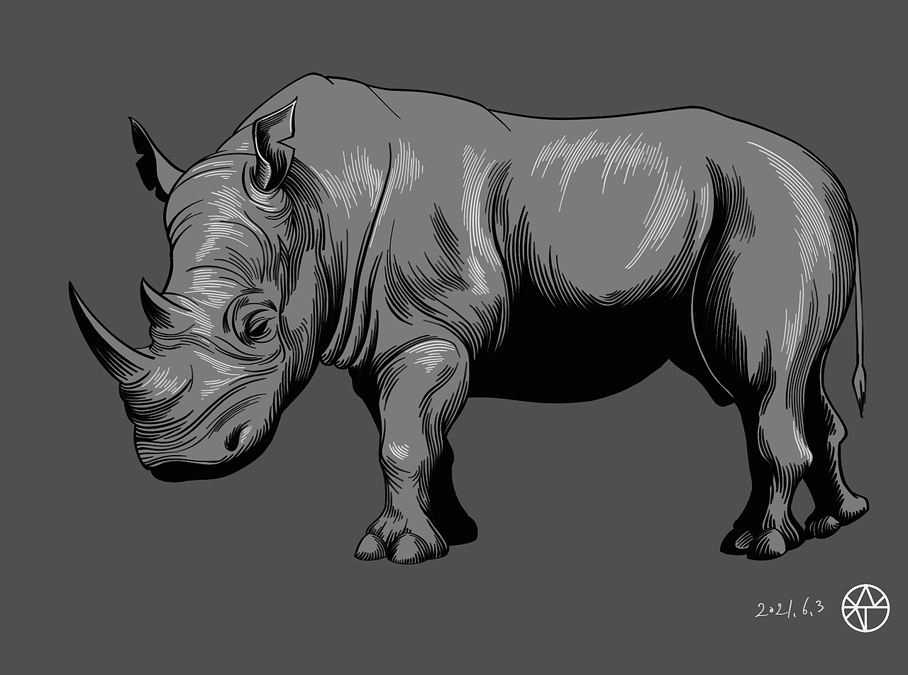 犀牛（图ZMjU3NDgxMzEy） - 创作习作 - 站酷设计师我叫WJN原创素材 - 站酷ZCOOL