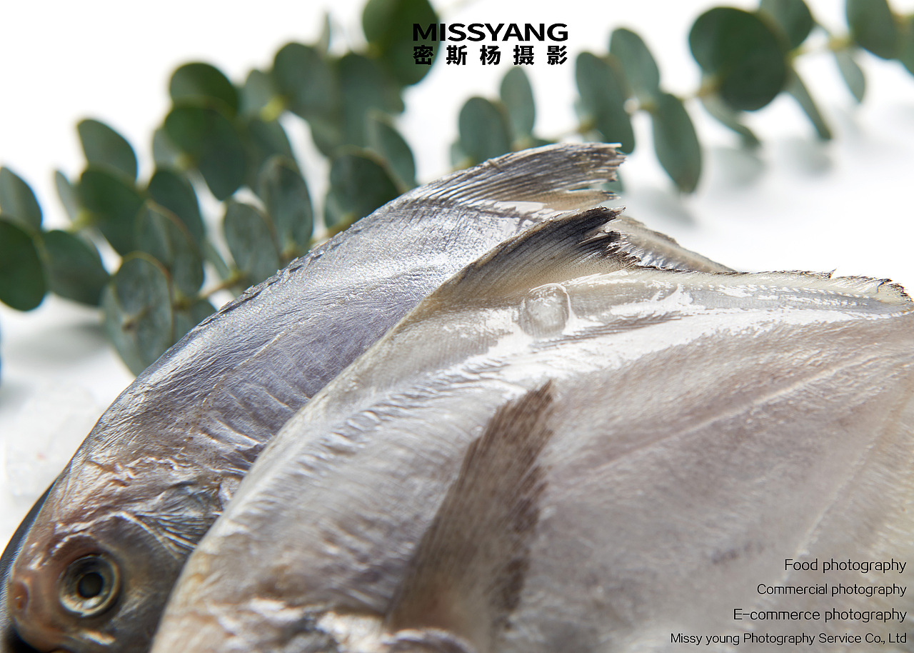 海鲜鱼摄影|生鲜摄影|美食摄影|食品摄影×郑州密斯杨（图ZMjQ2NjYzMTQw） - 产品摄影 - 站酷设计师密斯杨摄影原创素材 - 站酷ZCOOL