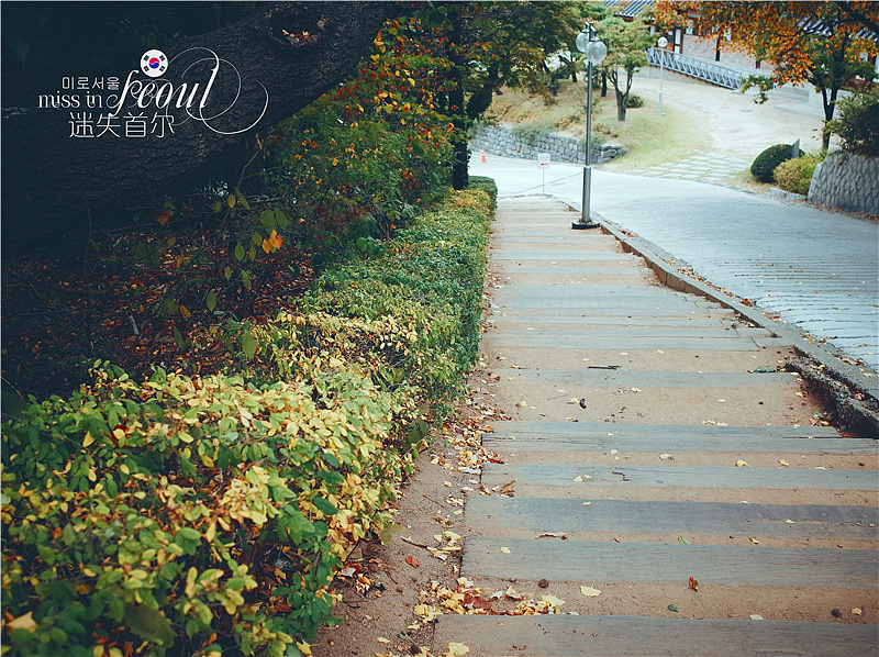 那个秋天 首尔一个人