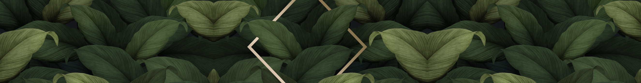 一只大婉的个人主页（封面预览） - 主页封面设置 - 站酷设计师一只大婉原创素材 - 站酷ZCOOL