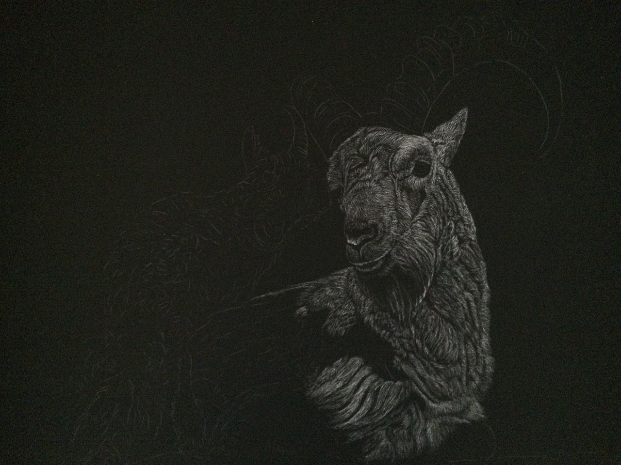 李子哥刮画作品《羊羊得意》（图ZMTU1MzUwMjY4） - 绘画 - 站酷设计师李子哥原创素材 - 站酷ZCOOL