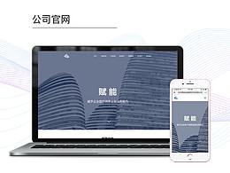 公司官网