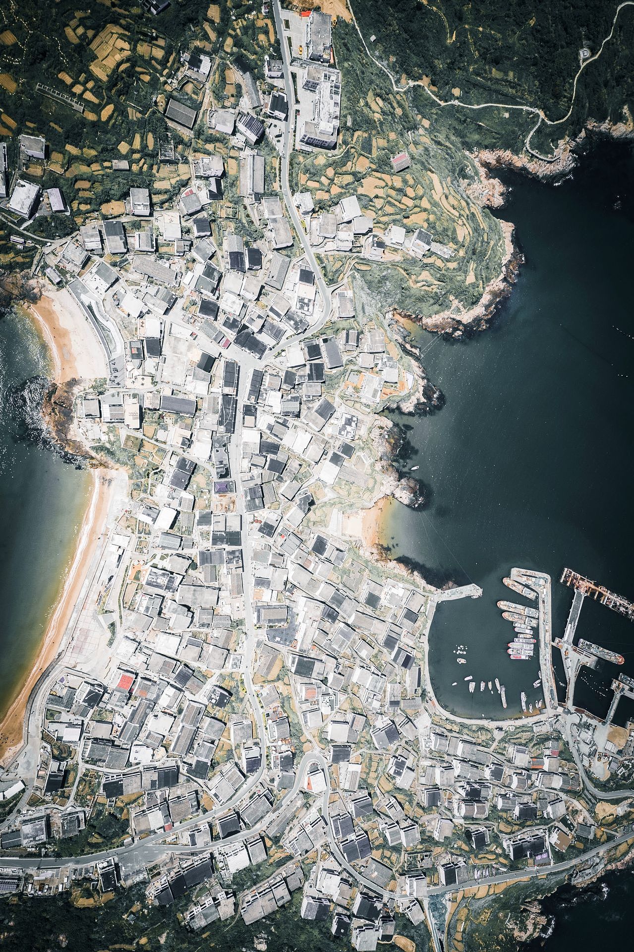 一花一鸟一世界(海岛记忆)