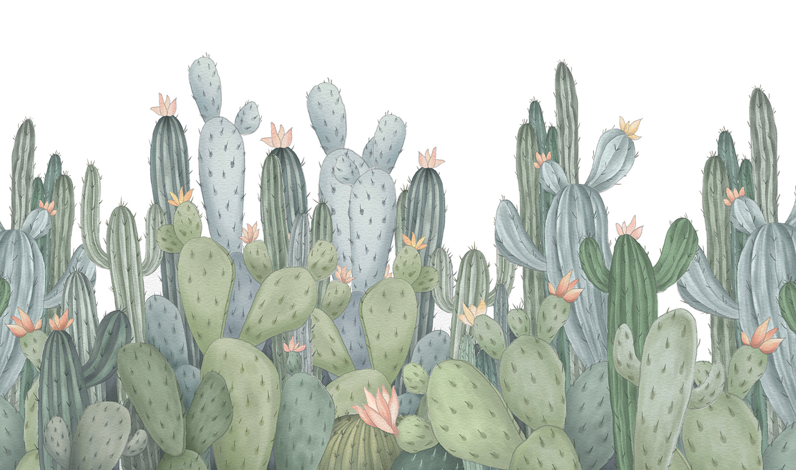 仙人掌系列护肤品插画绘制外包装设计