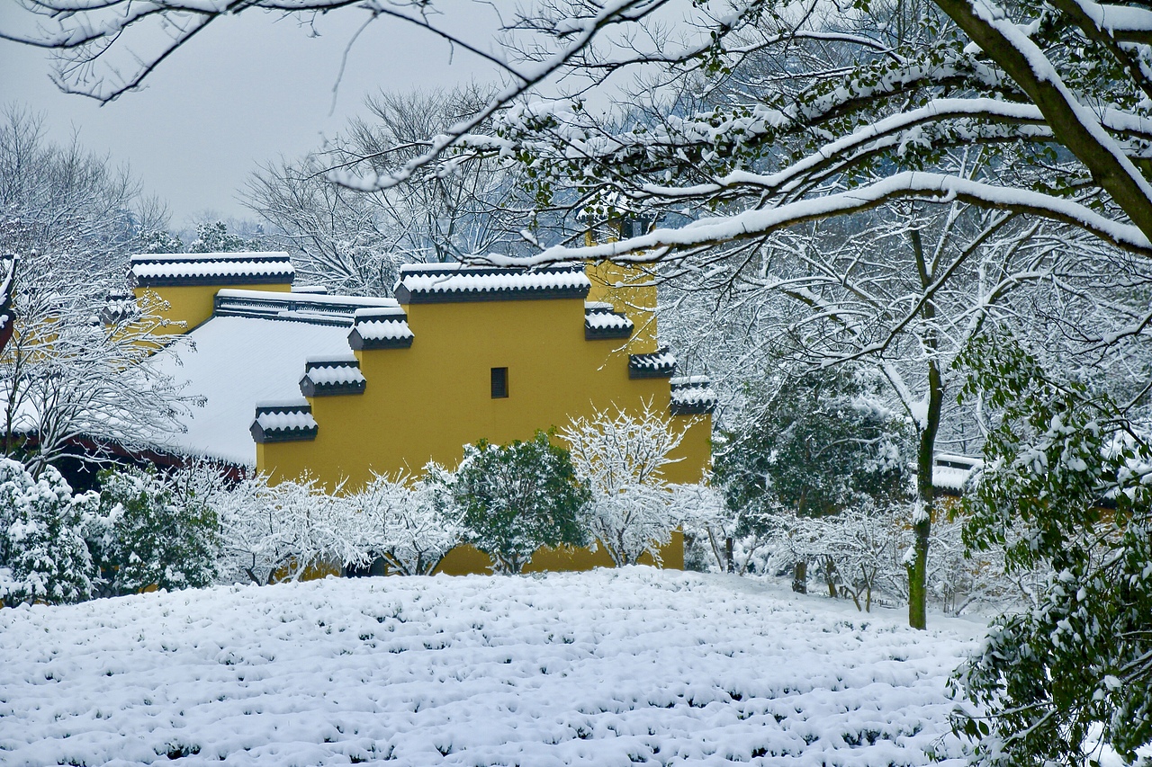 有一种雪境叫杭州的雪