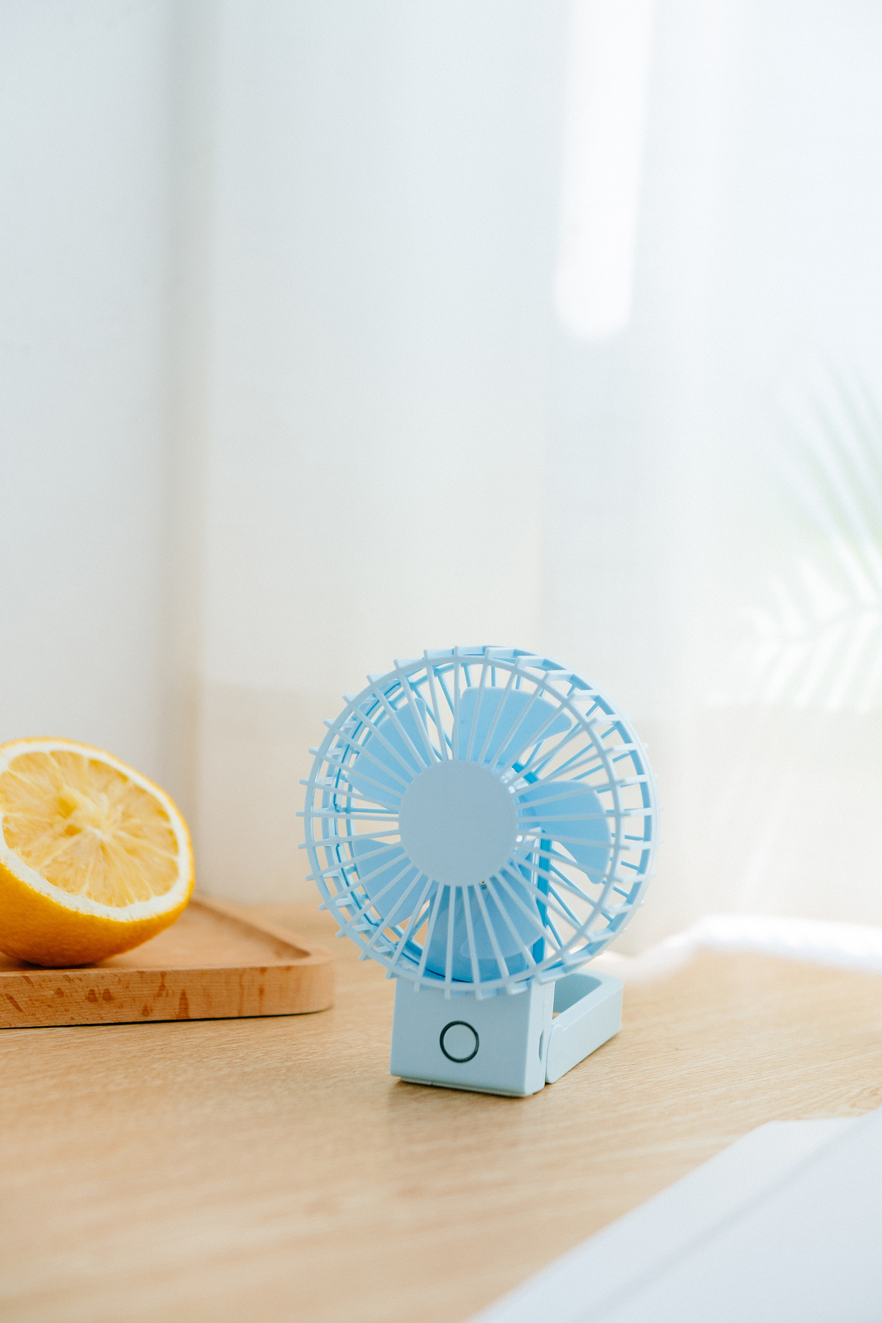 夏日静物（图ZMTcyMjExNTI4） - 产品摄影 - 站酷设计师ILnnnn原创素材 - 站酷ZCOOL