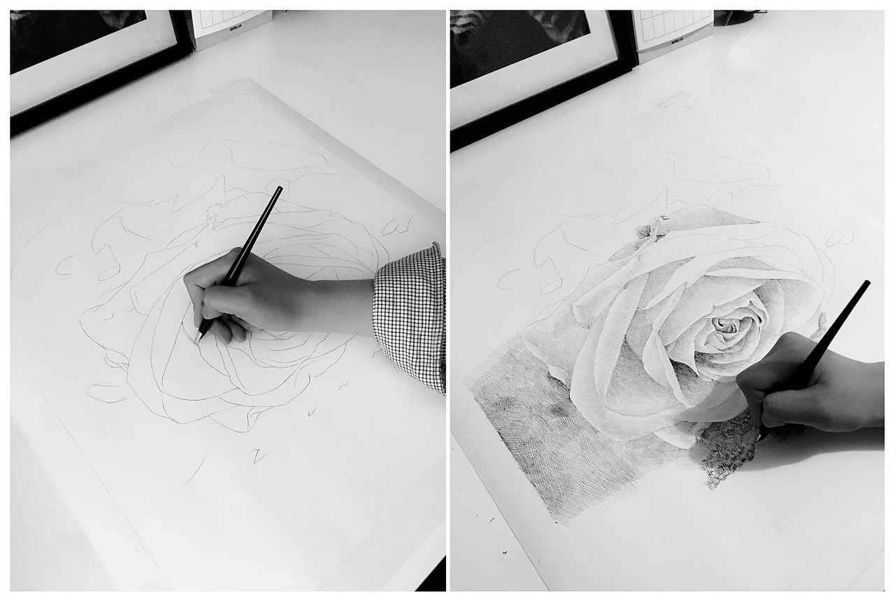 钢笔画《白玫瑰》（图ZMjk2MTM0MDQ=） - 绘画 - 站酷设计师舒展原创素材 - 站酷ZCOOL