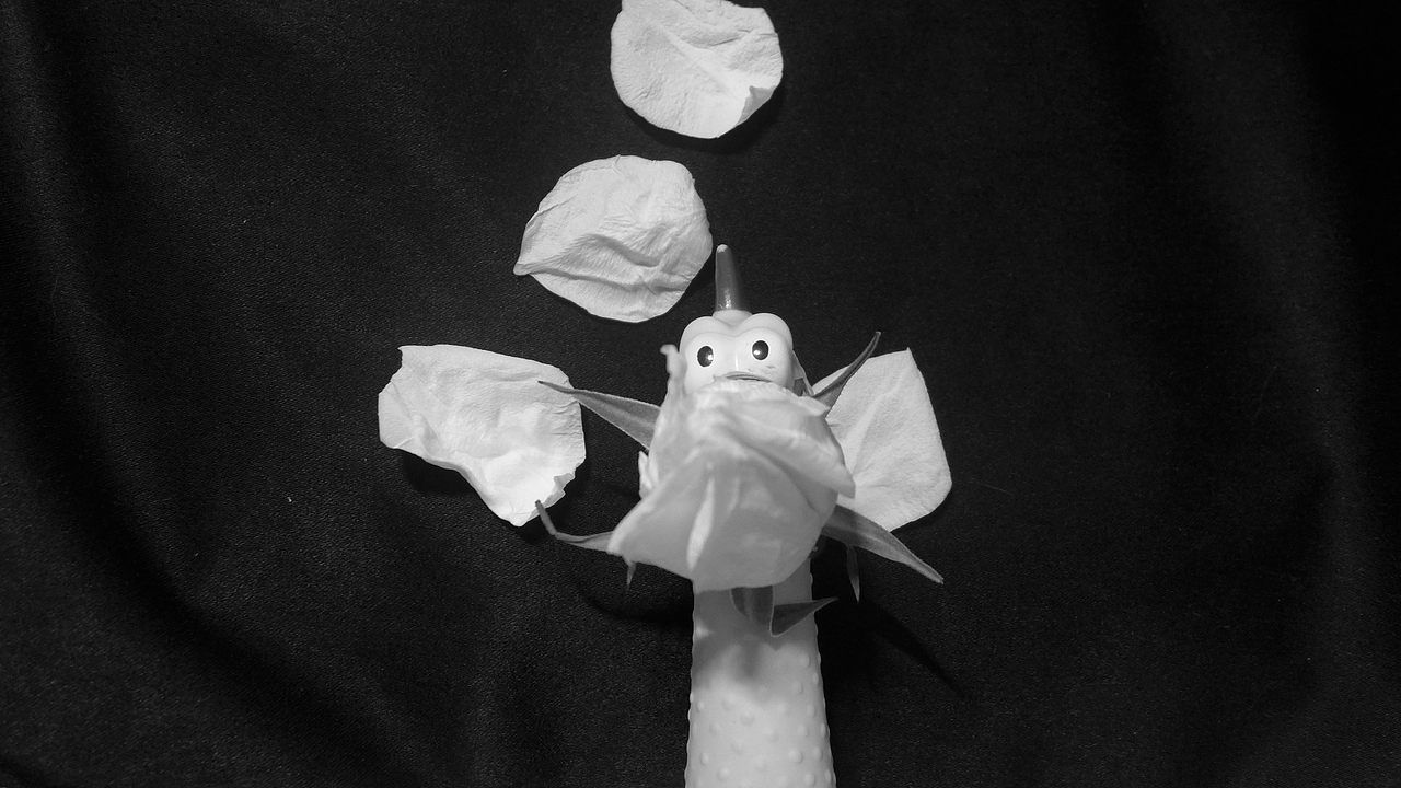 手机摄影(部分相机原片,手机后期)选集