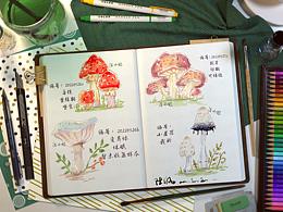 小蘑菇水彩手帐笔记