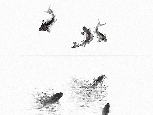 古风水墨画-鱼
