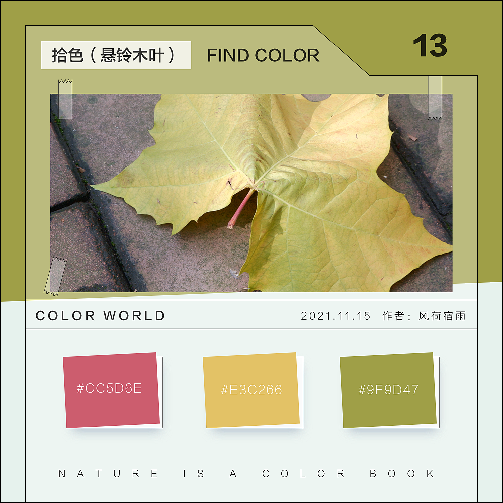 色彩（悬铃木）（图ZMjgyNzQ3MzY0） - 其他 - 站酷设计师风荷宿雨原创素材 - 站酷ZCOOL