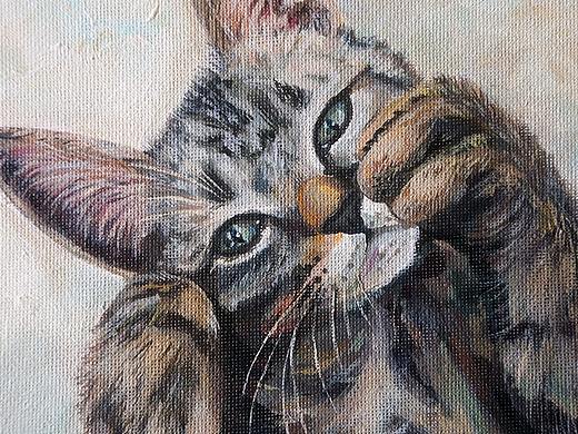 喵画像《Friday》(原创/私人定制)