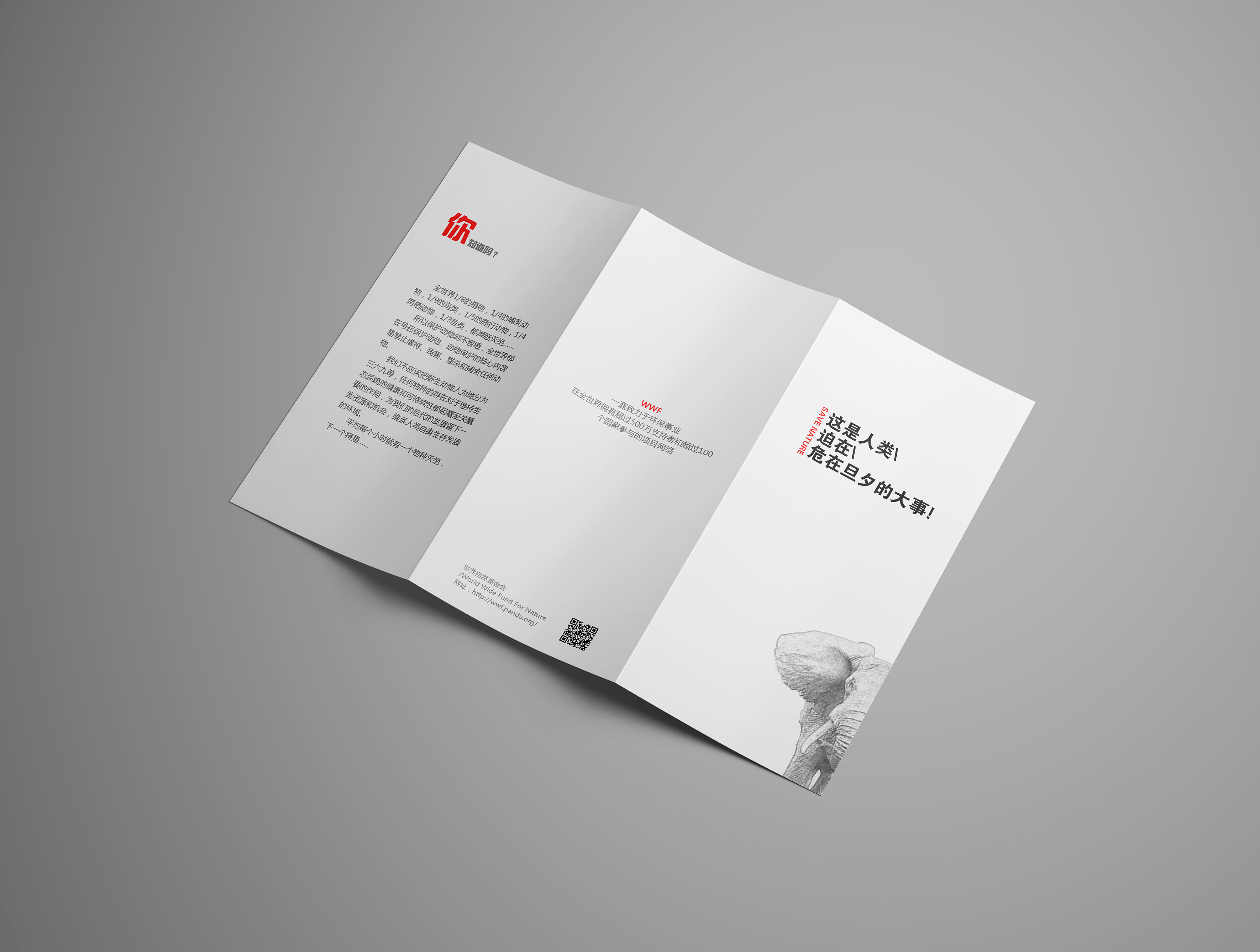 保护动物 三折页