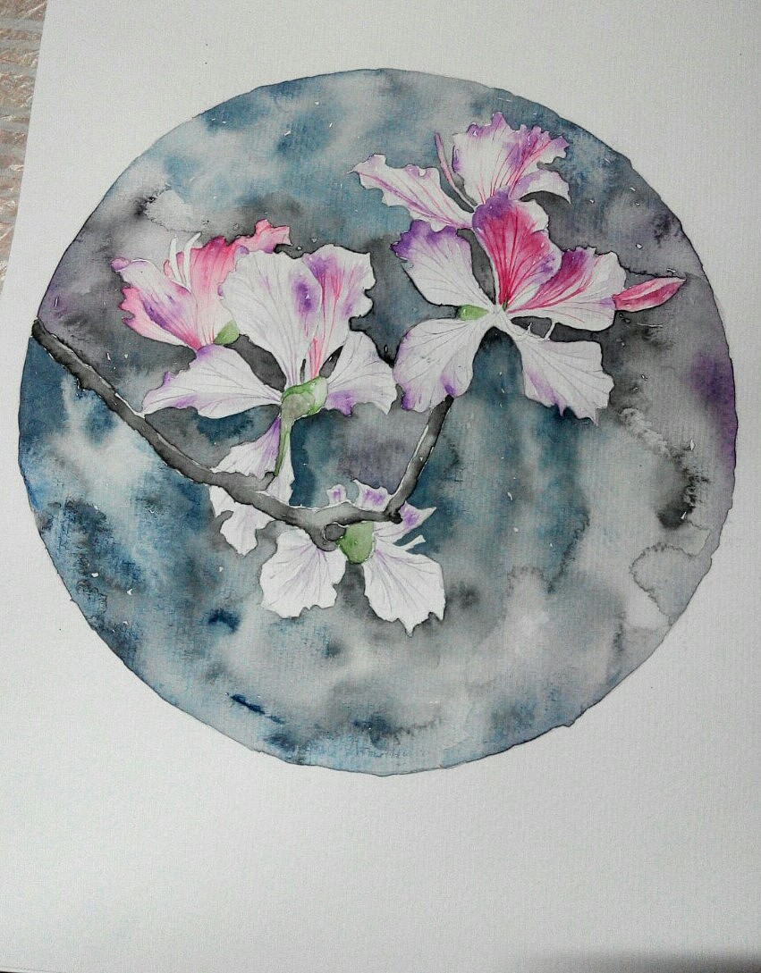 紫荆|插画|创作习作|初晴charline - 原创作品 - 站酷 (zcool)