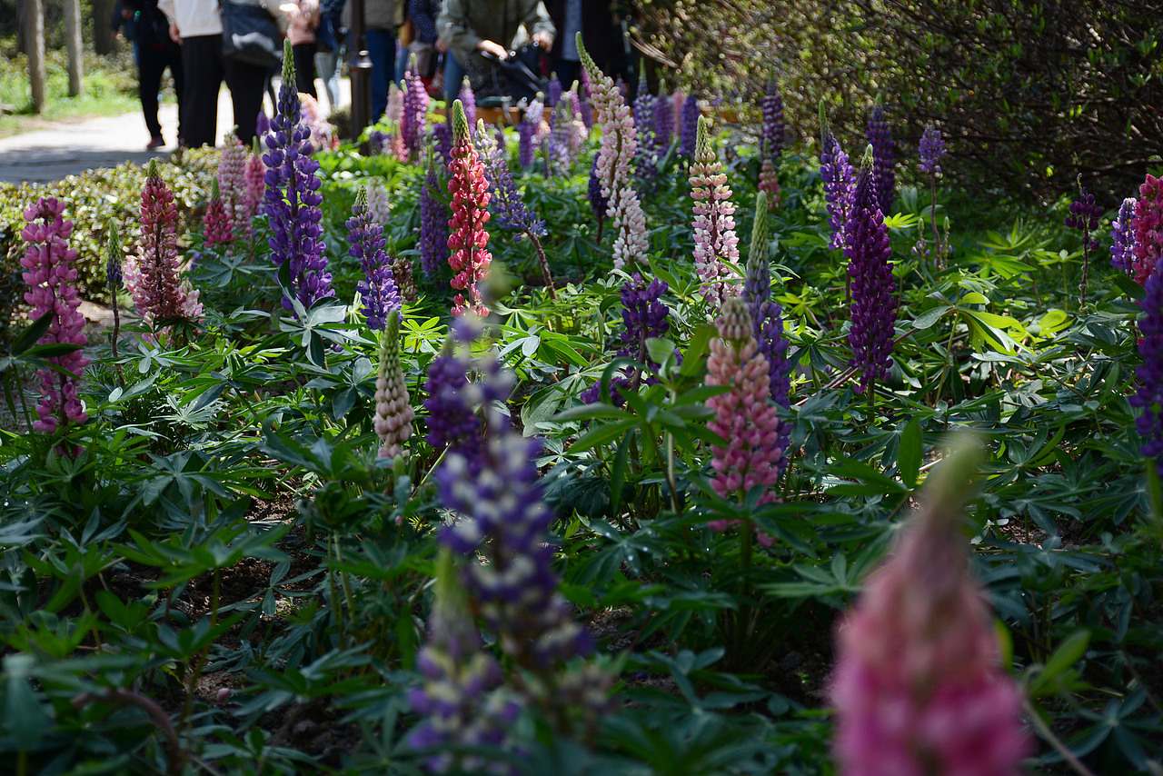 印象瑶里摄影写生作品集