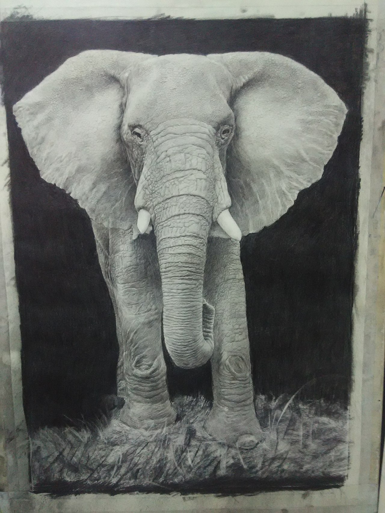 画家岑道伟油笔素描《大象》