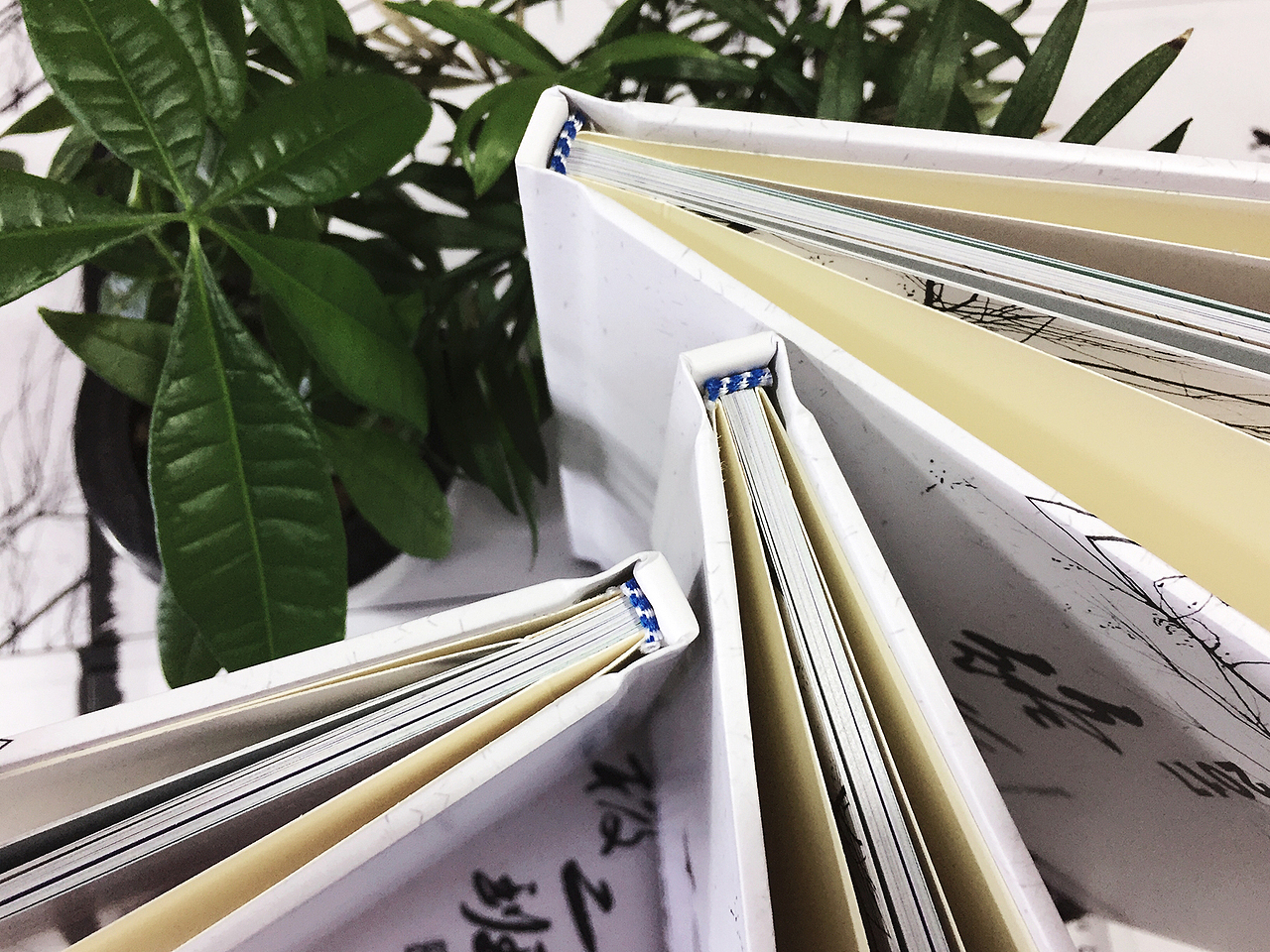 定制中学毕业纪念册|同学录设计制作公司|毕业留念册|成都百铂文化（图ZNzkwNTg3NzI=） - 书籍/画册 - 站酷设计师百铂文化品牌设计原创素材 - 站酷ZCOOL