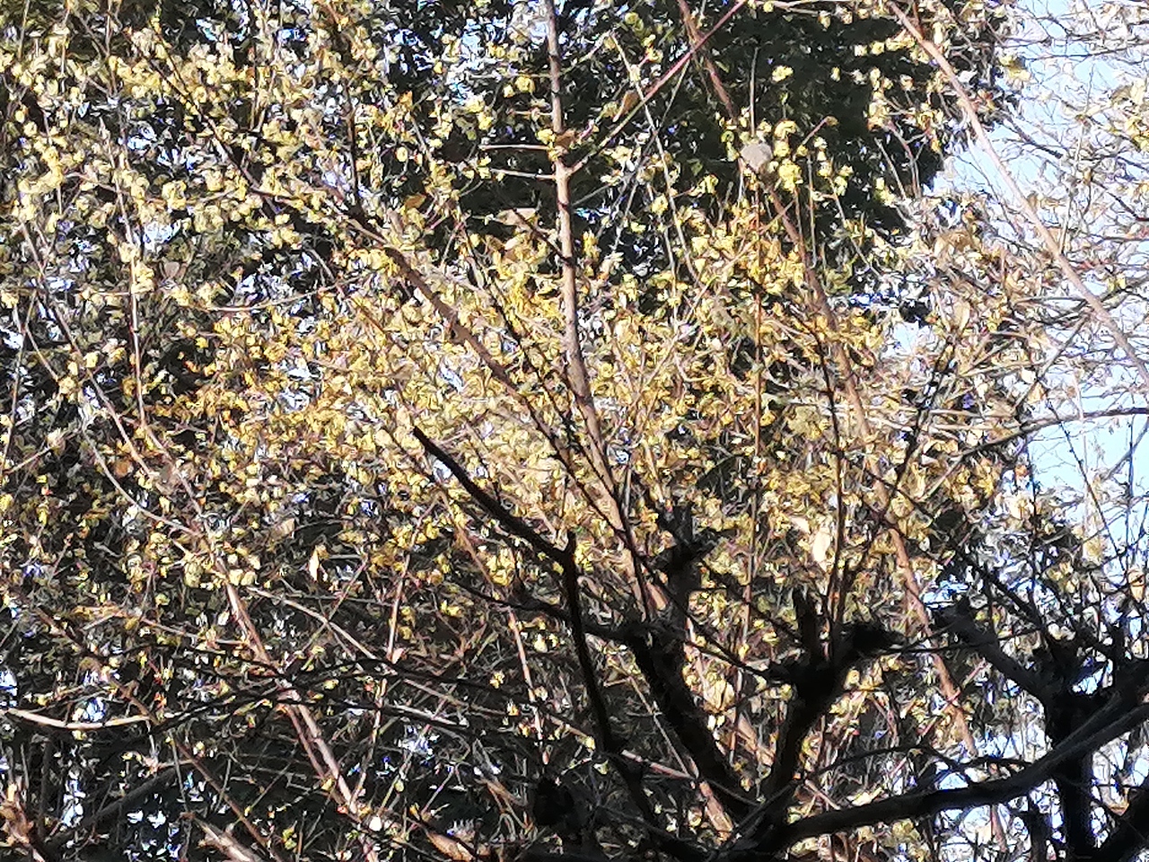 境源己造,相由心生