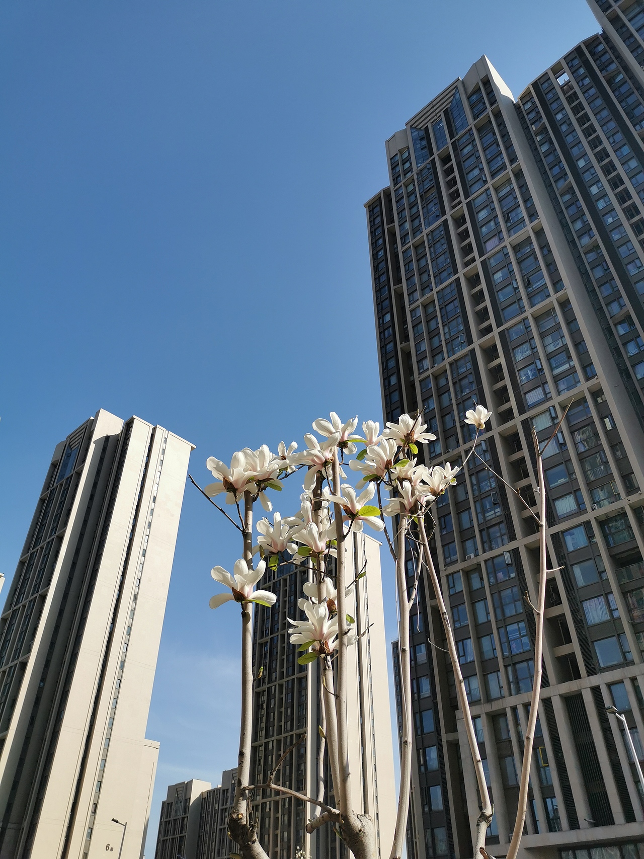/春暖花开/