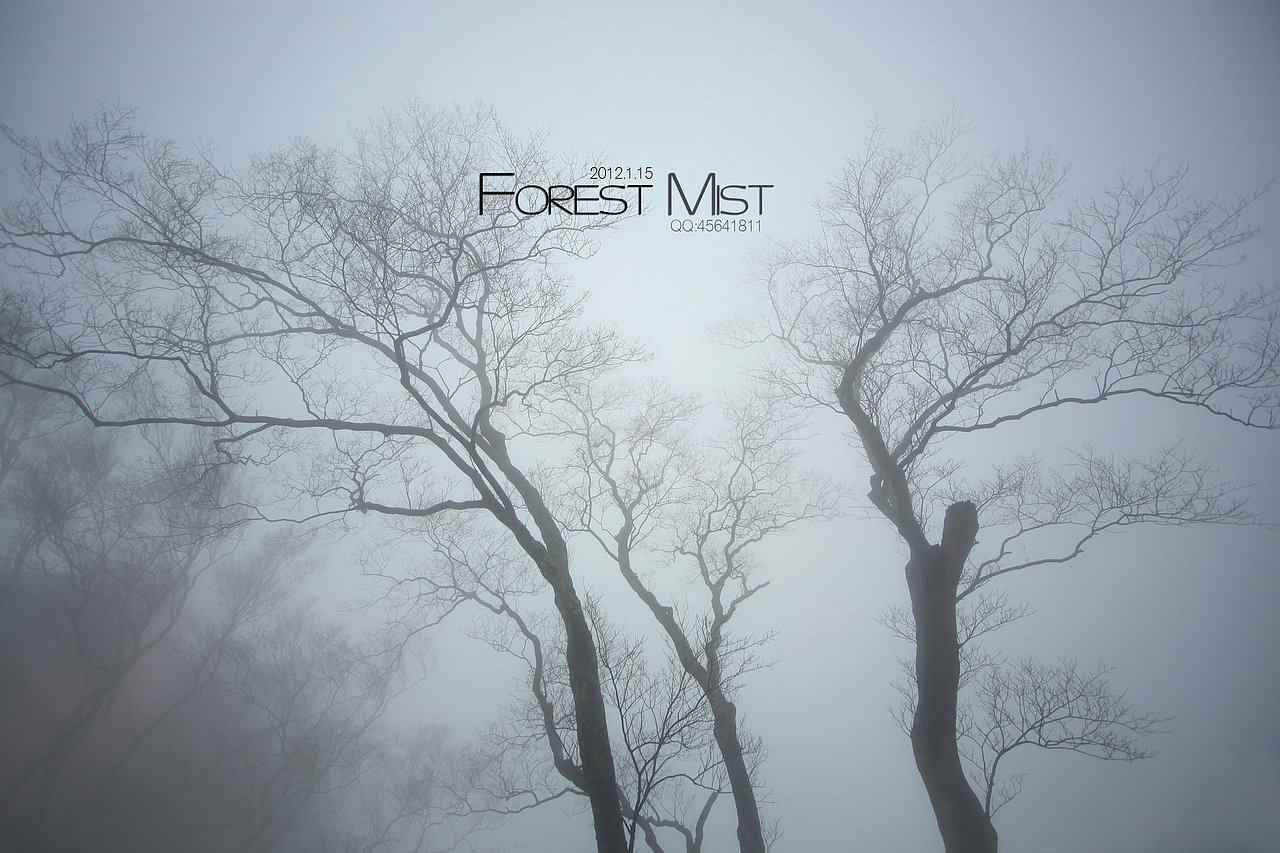 迷雾森林Forest Mist（图ZNDgyMDIyNA==） - 风光摄影 - 站酷设计师easycdad原创素材 - 站酷ZCOOL