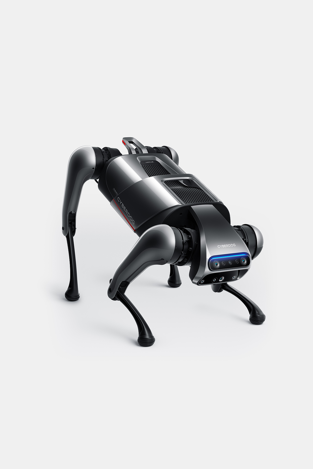 小米CyberDog“铁蛋”|修图