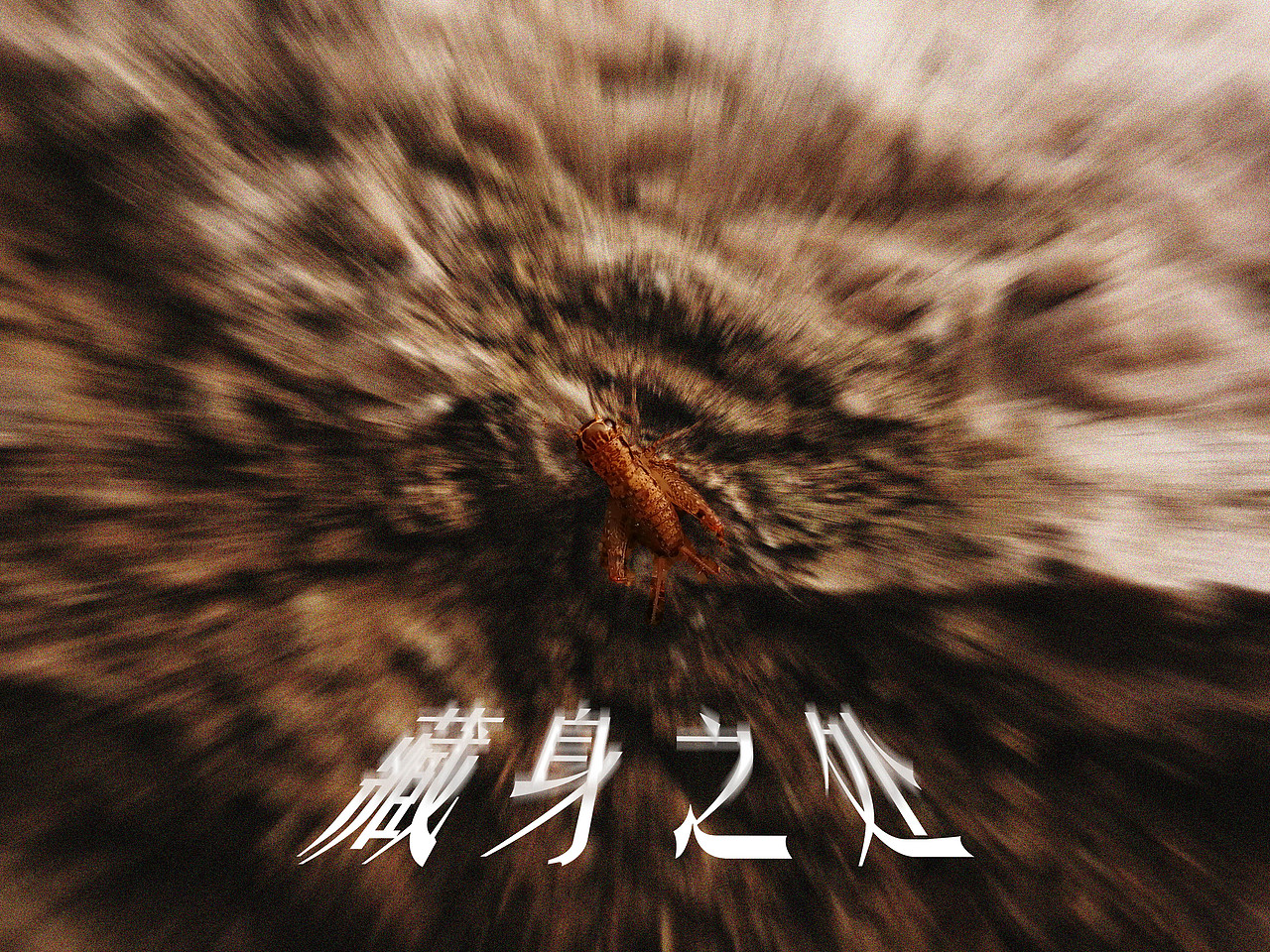 树干 岩石 枯草 朽木 /微观语言/