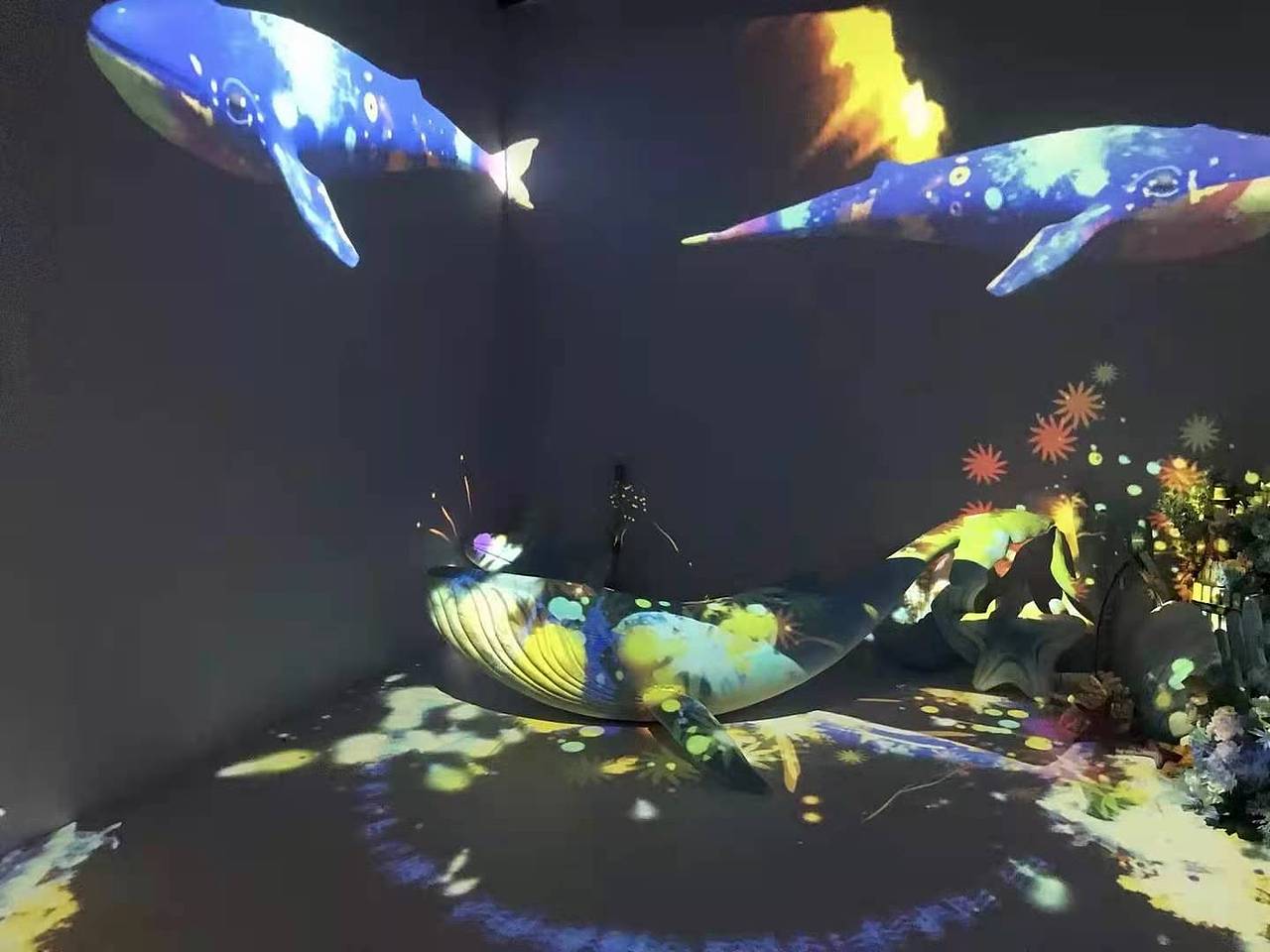 互动鲸鱼岛 互动鲸鱼