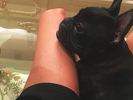 网页设计+app ios设计的规范