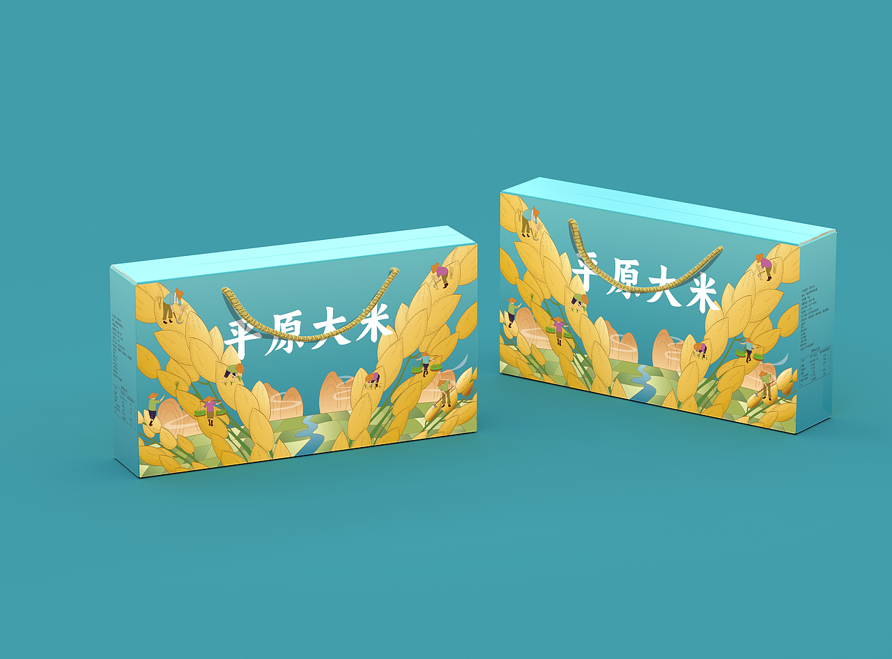大米包装