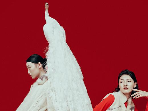 迪凱 19 FW