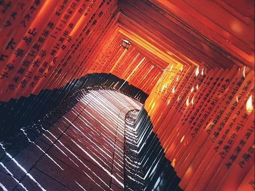 喧嚣再见，京都唯剩阳光