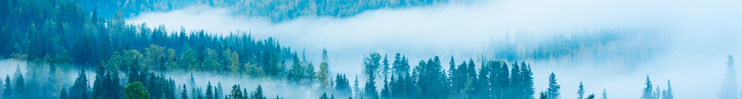 洛洛小陳的個人主頁（封面預(yù)覽） - 主頁封面設(shè)置 - 站酷設(shè)計師洛洛小陳原創(chuàng)素材 - 站酷ZCOOL
