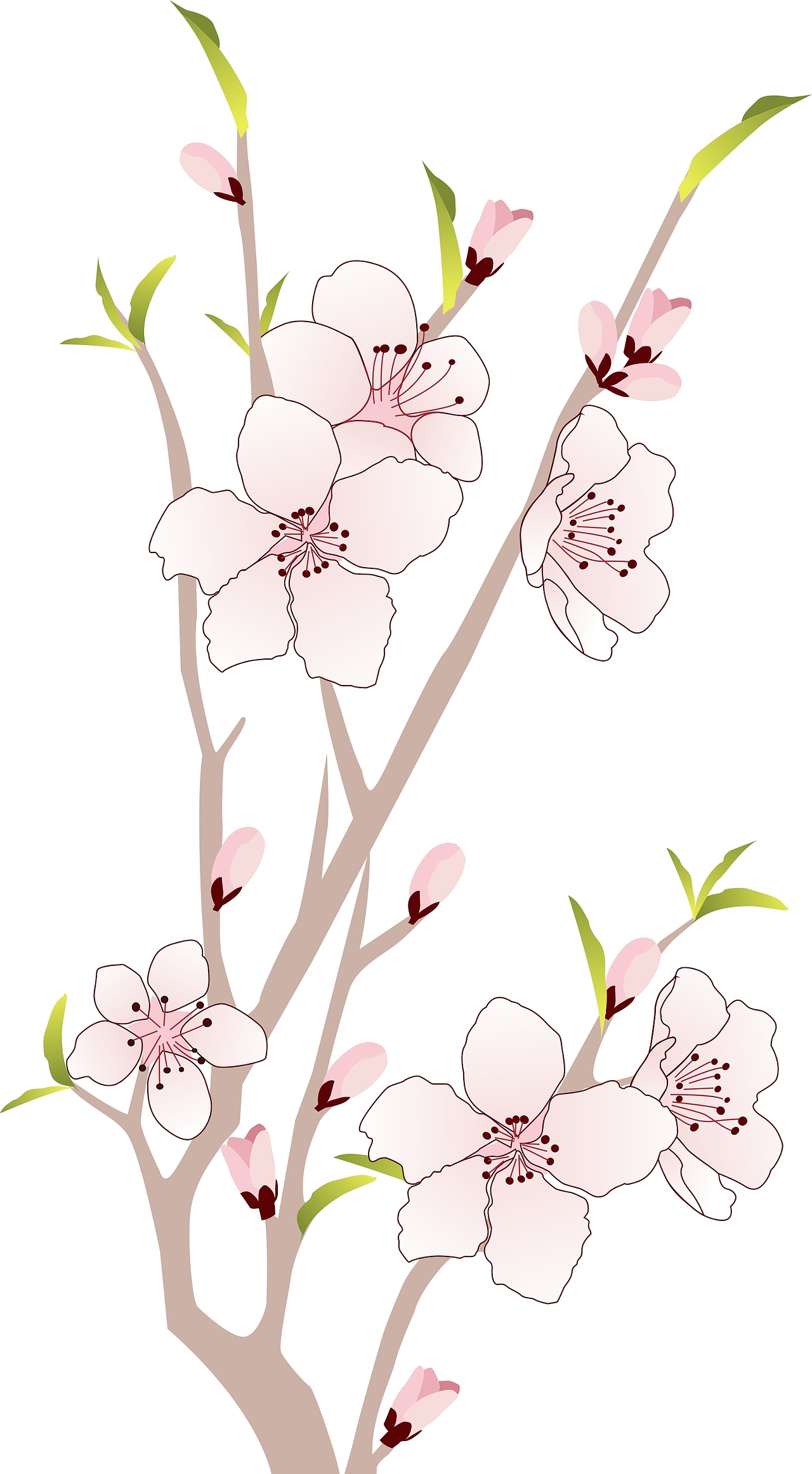 阿斯图案设计——网站图案—— 桃花