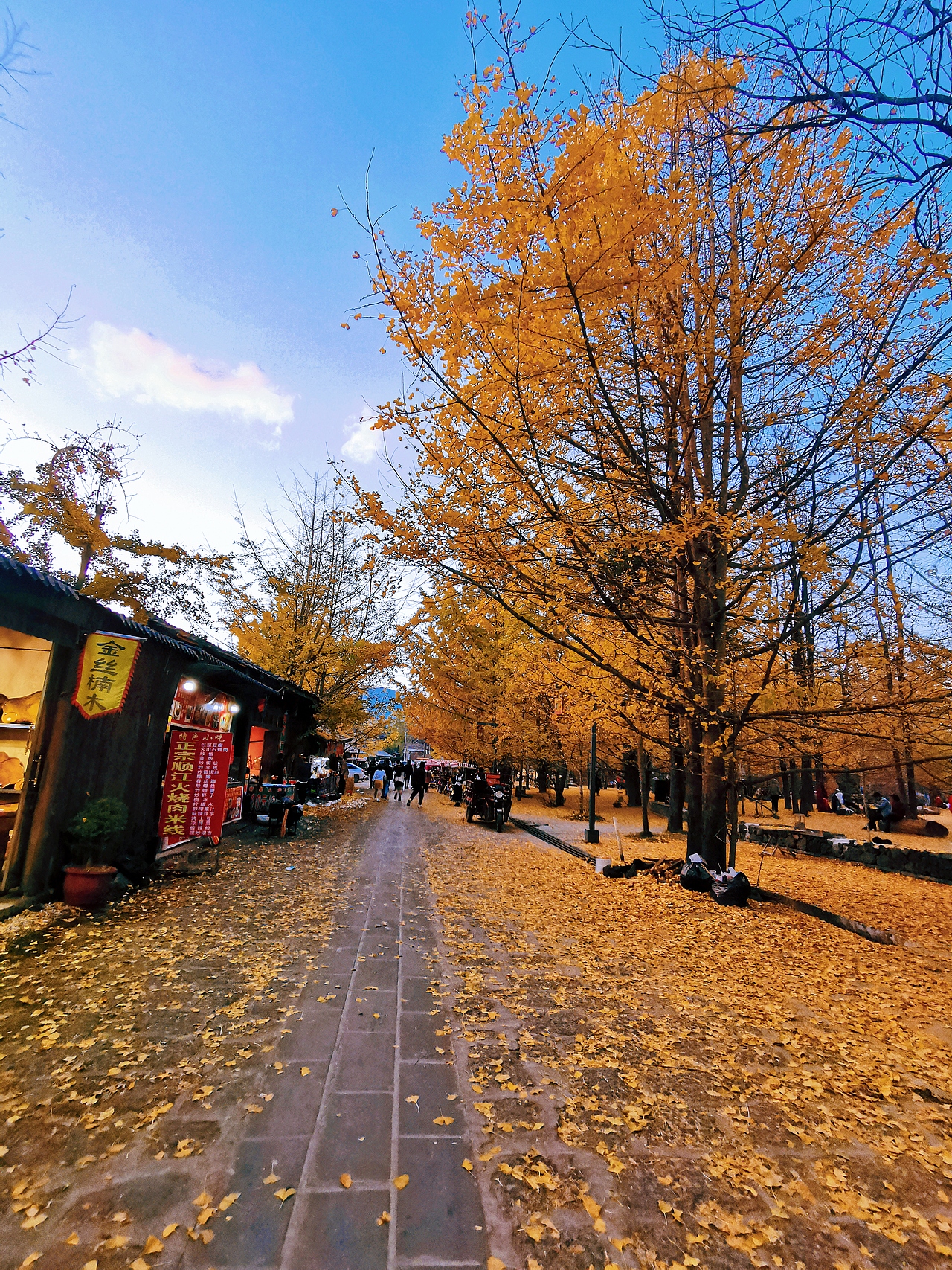 腾冲银杏村（图ZMjM1ODYyOTI0） - 人文/纪实摄影 - 站酷设计师烂手机换盆原创素材 - 站酷ZCOOL