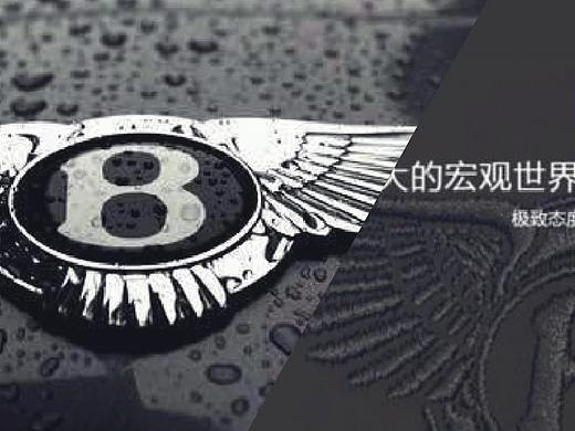 龙湖地王提报