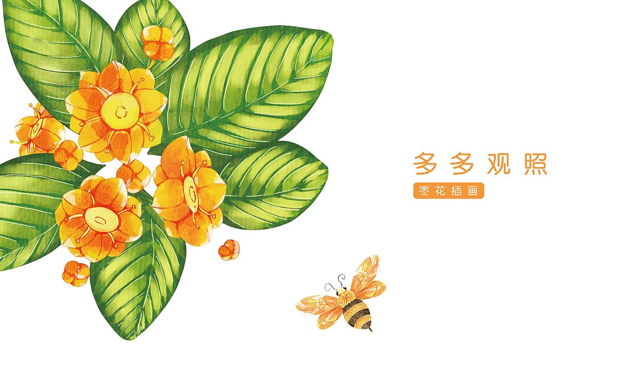 日照城市文创产品设计——海茶与蜂蜜包装设计