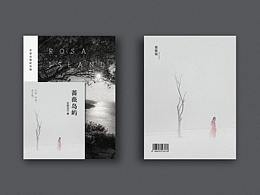 书籍封面/海报/详情