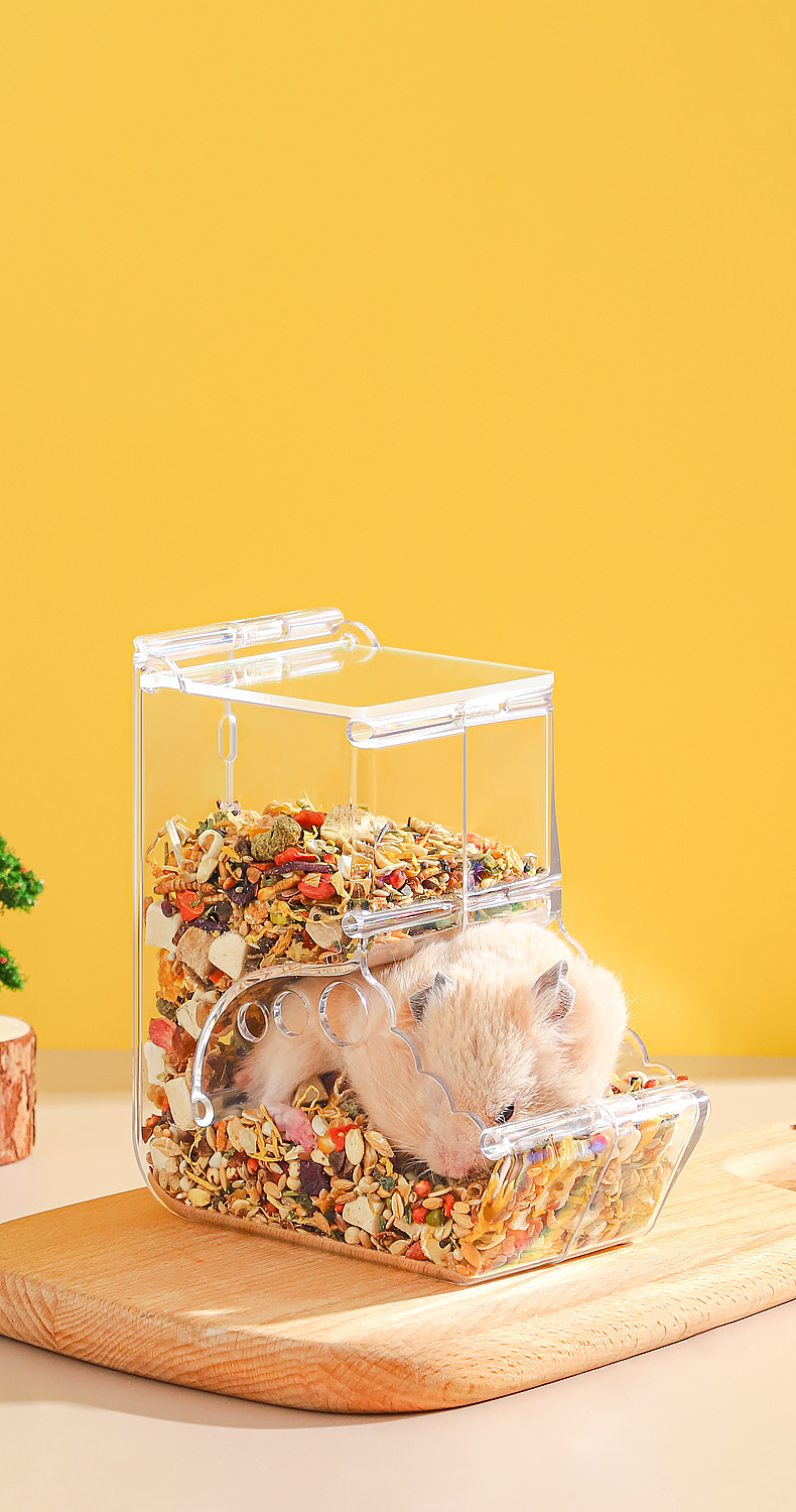 随手拍 I 仓鼠透明食盒