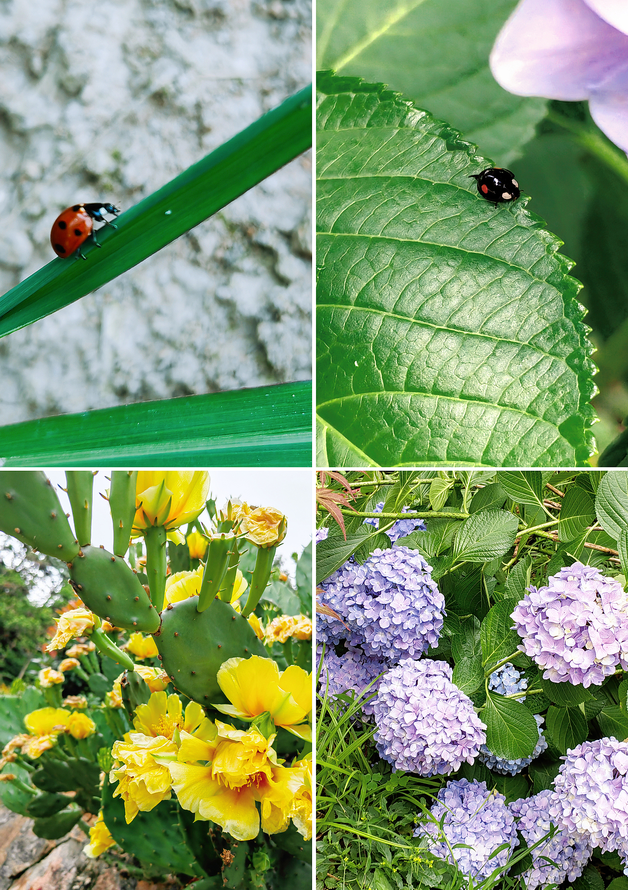 小梦的随手拍-第4期（图ZMzIwMDQ3NjM2） - 风光摄影 - 站酷设计师梦梦小梦12原创素材 - 站酷ZCOOL