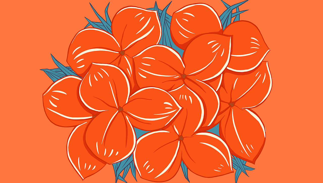 八马茶业 ╳ ONE里创意 | 淡淡茶香·花果配方