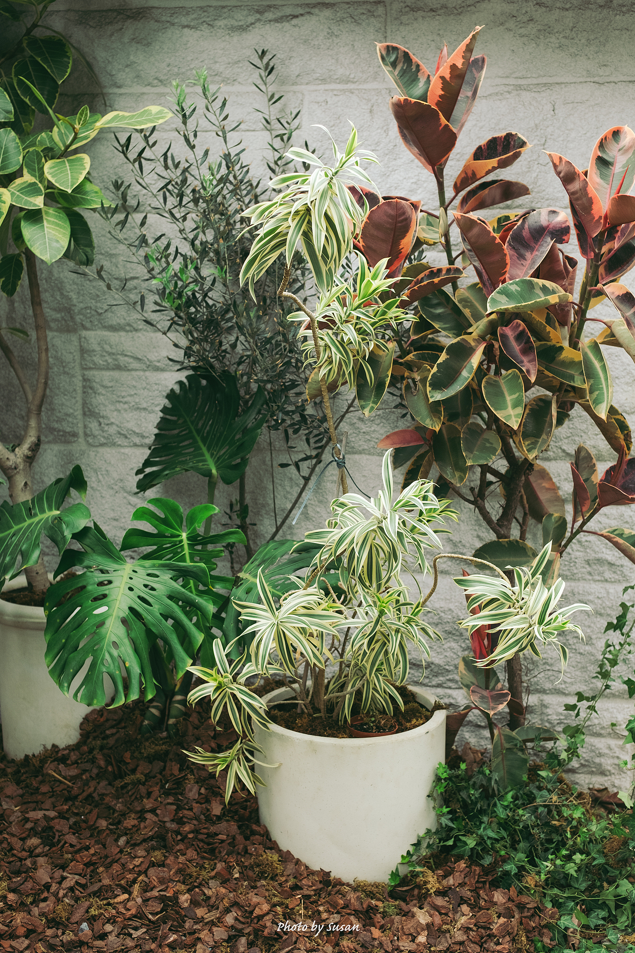 爱丽丝的春天 ｜空间艺术装置, 环境场景拍摄（图ZMzAxNDQ4NjQ4） - 环境/建筑摄影 - 站酷设计师苏影纪原创素材 - 站酷ZCOOL