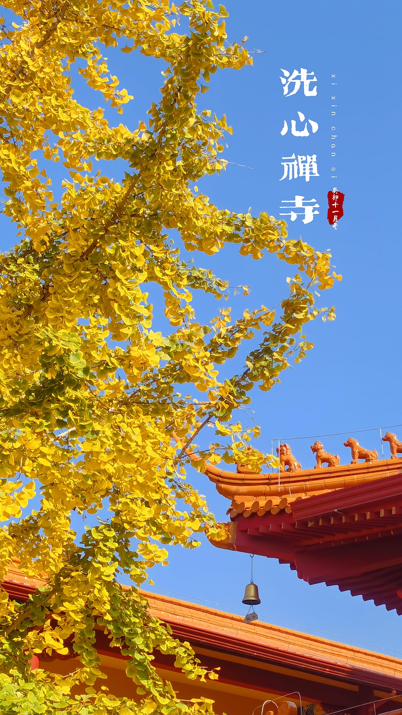 洗心禅寺-2023年秋